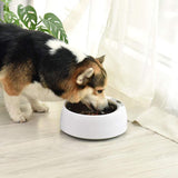 Heated Pet Bowl